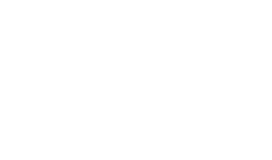 logo_ddd_white